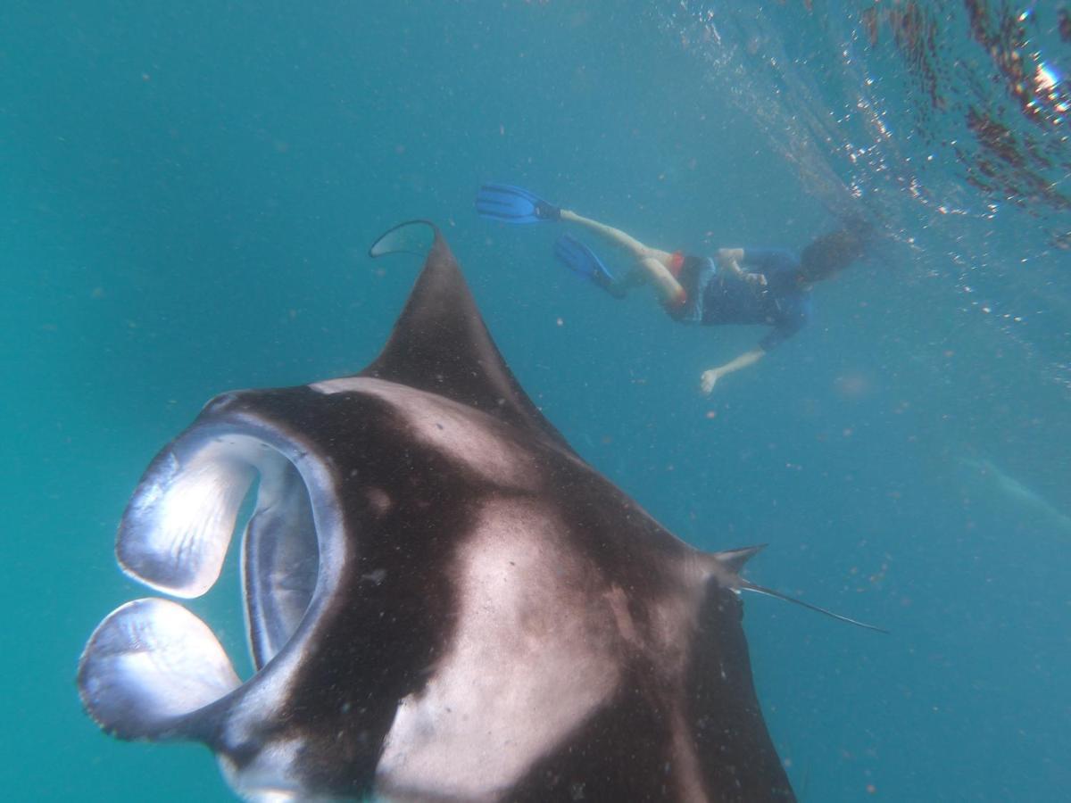 Lvis Blancura Hotel Dharavandhoo Luaran gambar
