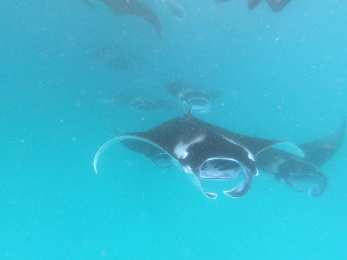Lvis Blancura Hotel Dharavandhoo Luaran gambar