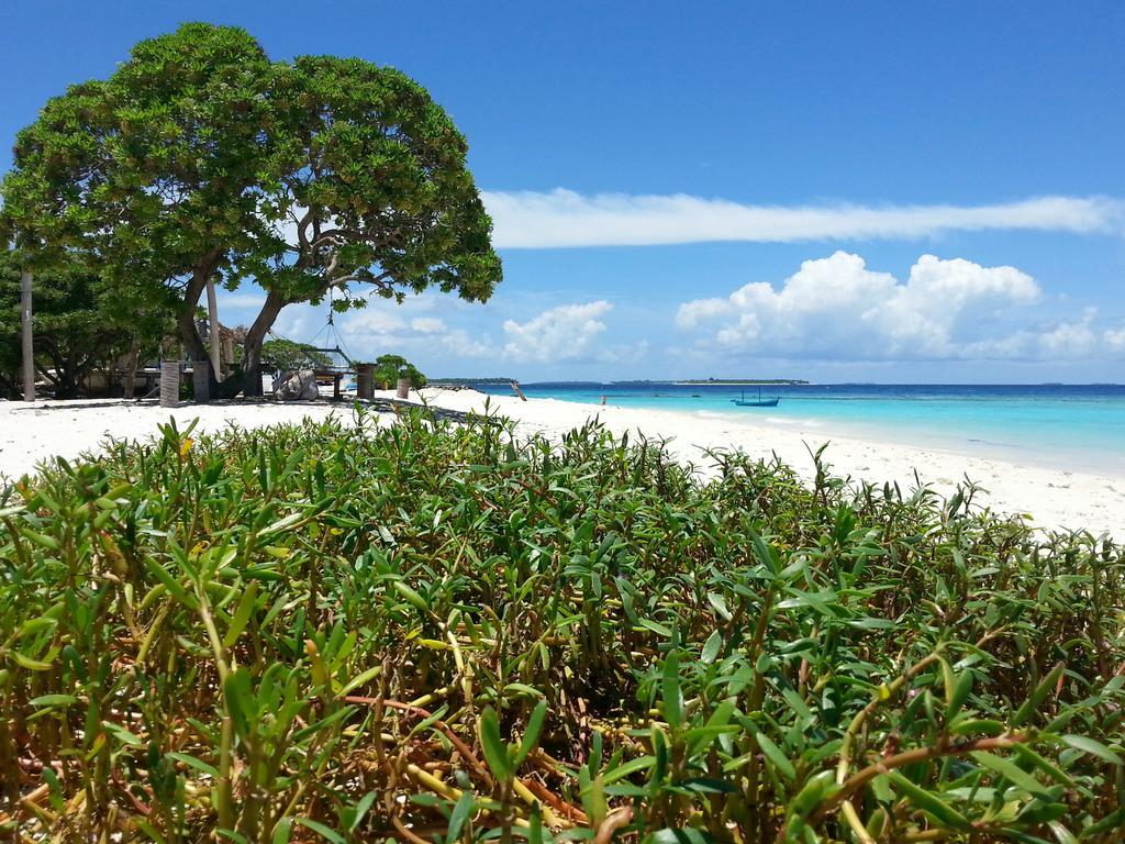 Lvis Blancura Hotel Dharavandhoo Luaran gambar