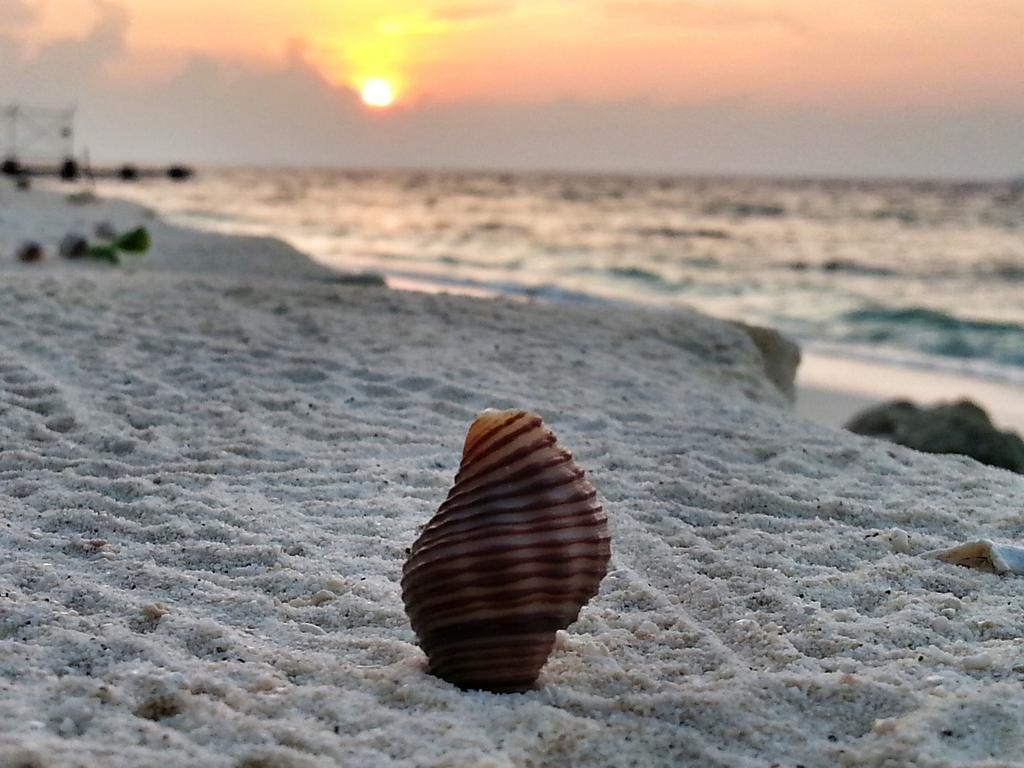 Lvis Blancura Hotel Dharavandhoo Luaran gambar