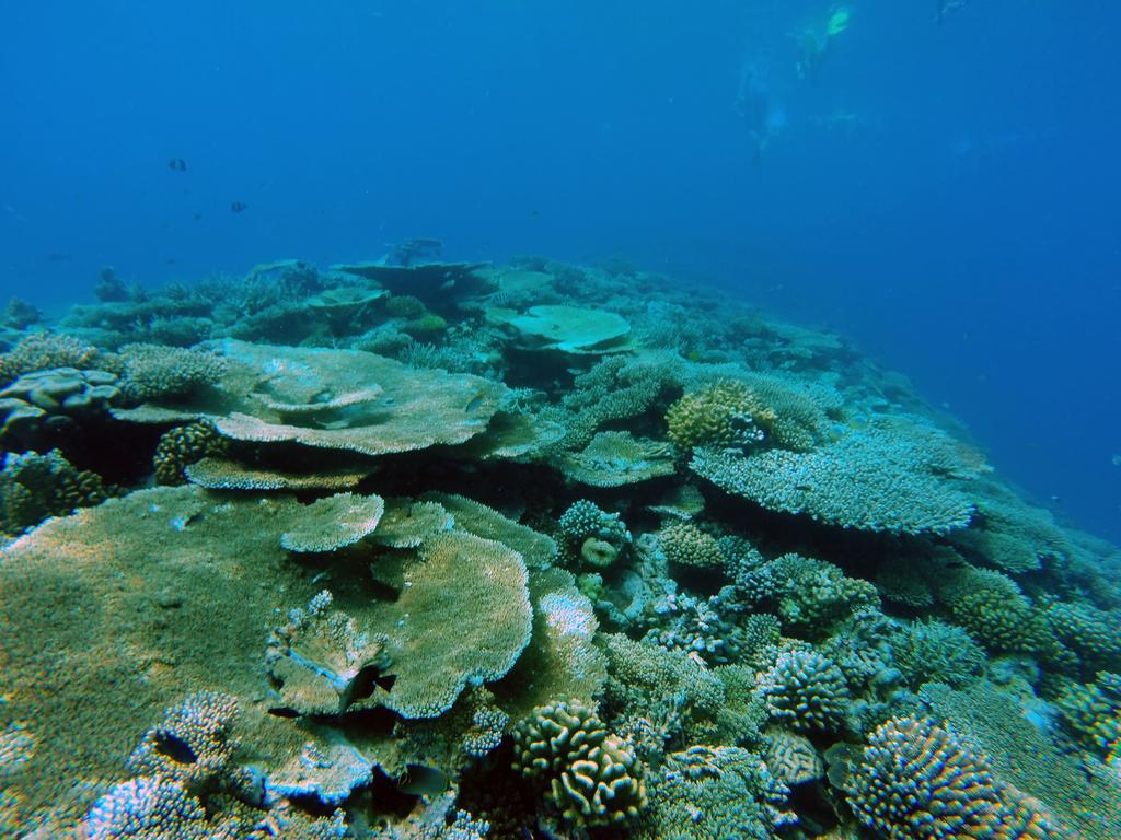 Lvis Blancura Hotel Dharavandhoo Luaran gambar